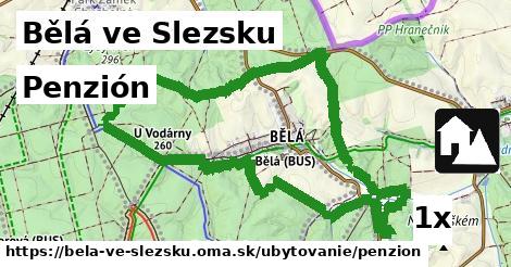 Penzión, Bělá ve Slezsku