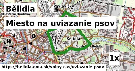 Miesto na uviazanie psov, Bělidla