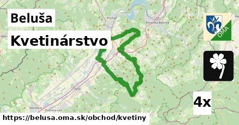 Kvetinárstvo, Beluša