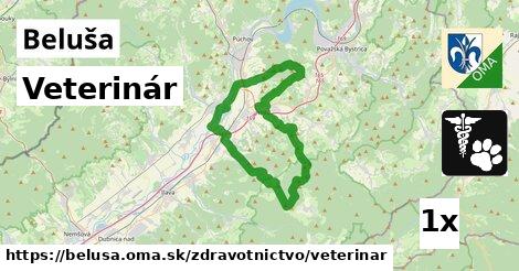 veterinár v Beluša