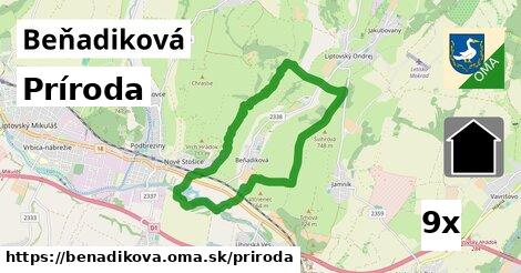 príroda v Beňadiková