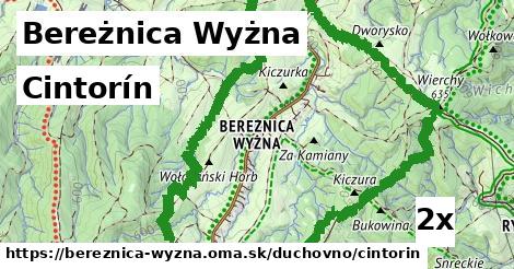 cintorín v Bereżnica Wyżna