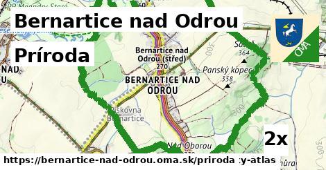 príroda v Bernartice nad Odrou