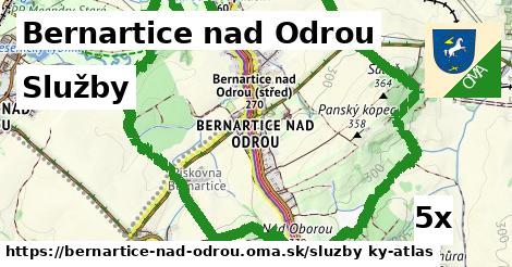 služby v Bernartice nad Odrou