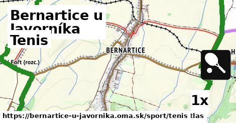 tenis v Bernartice u Javorníka