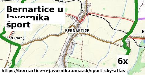 šport v Bernartice u Javorníka