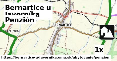 penzión v Bernartice u Javorníka