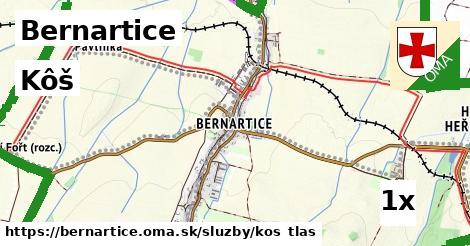 Kôš, Bernartice