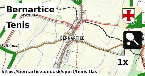 Tenis, Bernartice