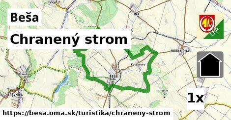 Chranený strom, Beša