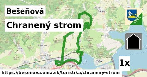 Chranený strom, Bešeňová