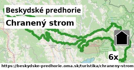 Chranený strom, Beskydské predhorie