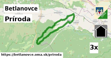 príroda v Betlanovce