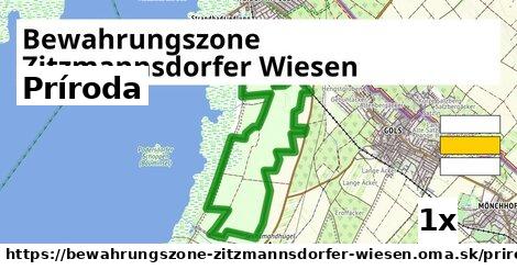 príroda v Bewahrungszone Zitzmannsdorfer Wiesen