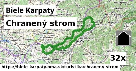 chranený strom v Biele Karpaty