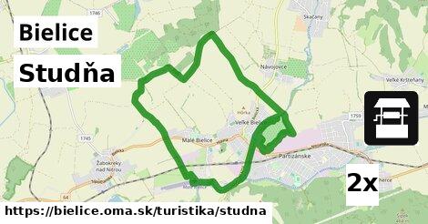 Studňa, Bielice