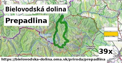 Prepadlina, Bielovodská dolina