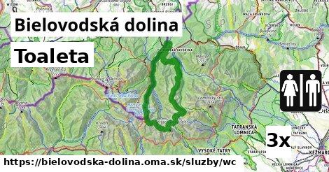 Toaleta, Bielovodská dolina