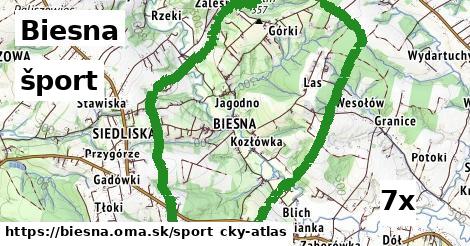 šport v Biesna