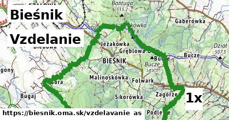 vzdelanie v Bieśnik