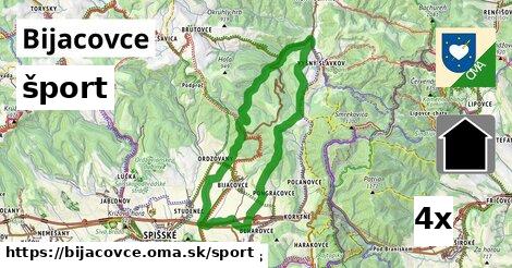 šport v Bijacovce