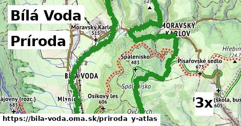 príroda v Bílá Voda