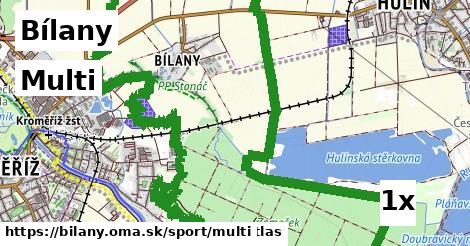 multi v Bílany