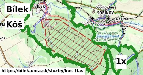 Kôš, Bílek