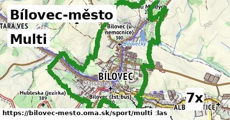 Multi, Bílovec-město