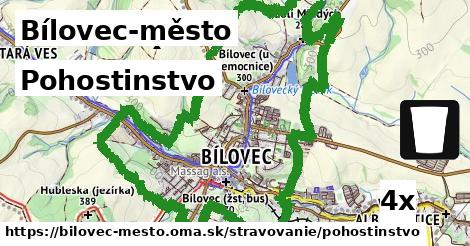 pohostinstvo v Bílovec-město