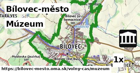 múzeum v Bílovec-město