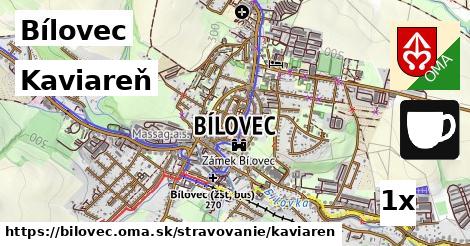 Kaviareň, Bílovec