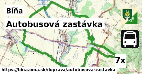 Autobusová zastávka, Bíňa