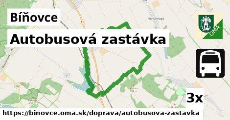 Autobusová zastávka, Bíňovce