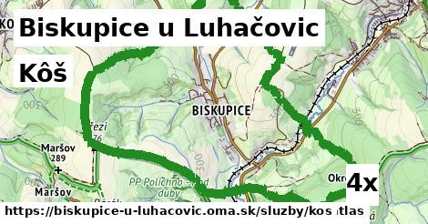 Kôš, Biskupice u Luhačovic