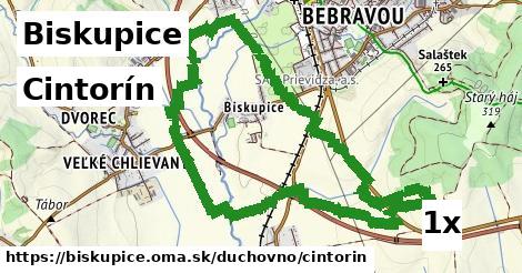 cintorín v Biskupice