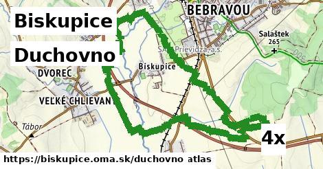 duchovno v Biskupice