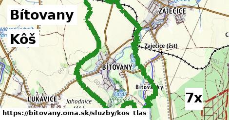 Kôš, Bítovany