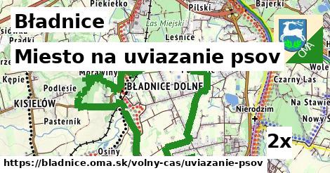 miesto na uviazanie psov v Bładnice