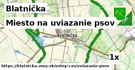 Miesto na uviazanie psov, Blatnička