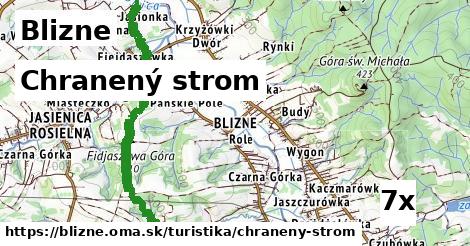 Chranený strom, Blizne