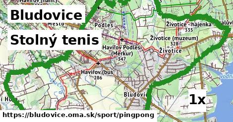 Stolný tenis, Bludovice