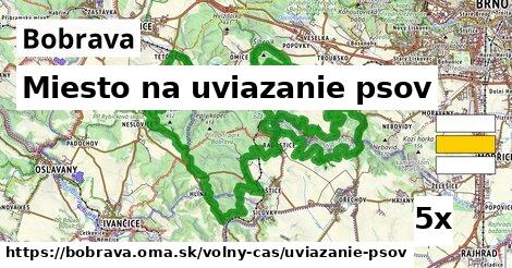 Miesto na uviazanie psov, Bobrava