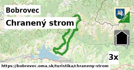 Chranený strom, Bobrovec