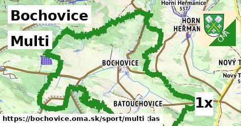 Multi, Bochovice