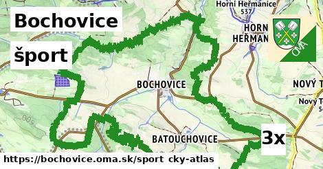 šport v Bochovice