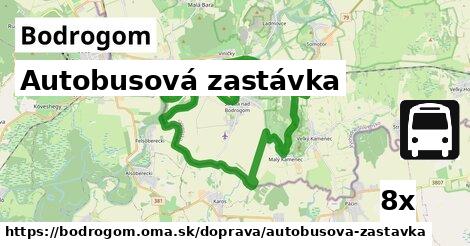 Autobusová zastávka, Bodrogom