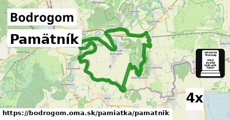 Pamätník, Bodrogom