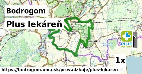 Plus lekáreň v Bodrogom