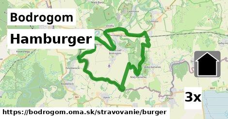 Hamburger, Bodrogom